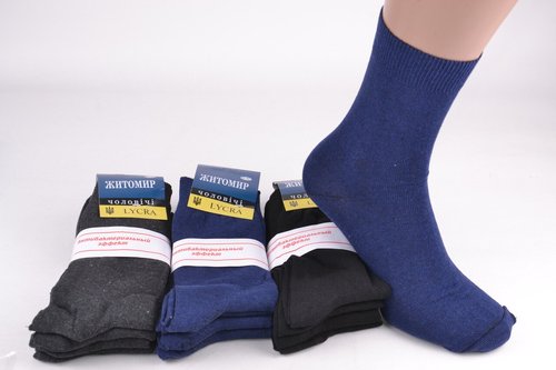 Чоловічі шкарпетки "Житомир" Антибактеріальні (Арт. PT192/3) | 12 пар