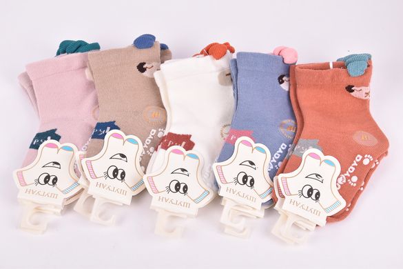 Шкарпетки дитячі з малюнком "Шугуан" ХЛОПОК (Арт. C667-32/S) | 10 пар