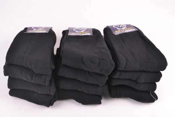 Чоловічі махрові шкарпетки "ЖИТОМИР" (Арт. OK057/25-27) | 12 пар