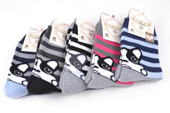 Жіночі шкарпетки із малюнком МАХРА "Cotton" (Арт.NV2031/38-41) | 5 пар