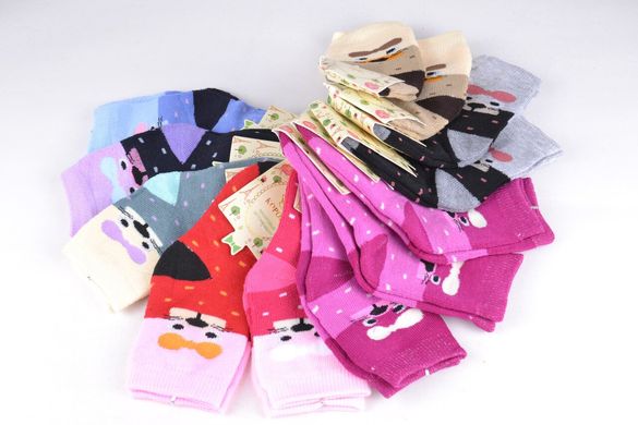 Дитячі шкарпетки на дівчинку "КОРОНА" Махра Бамбук (арт. LKC3209/S) | 12 пар