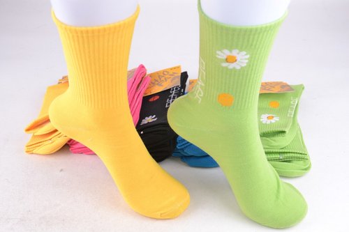 Шкарпетки жіночі "Наталі" ХЛОПОК (Арт. BF02-6) | 10 пар