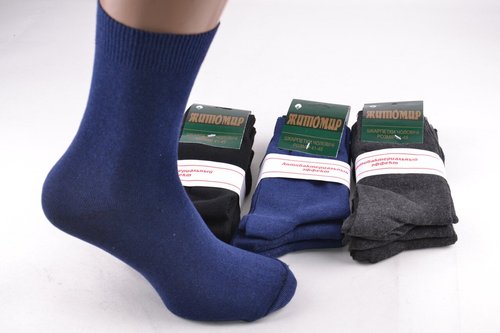 Чоловічі шкарпетки "Житомир" Антибактеріальні (Арт. PT192/4) | 12 пар