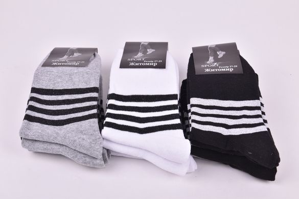 Шкарпетки чоловічі "Житомир" ХЛОПОК (Арт. OK227) | 12 пар