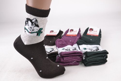 Шкарпетки жіночі "Житомир" ХЛОПОК (Арт. OAM222/1) | 12 пар
