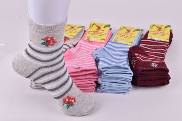 Шкарпетки дитячі "Житомир" бавовна (Арт. OAM360/18-20) | 12 пар
